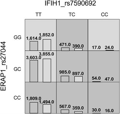 Multifactor dimensionality reduction reveals the effect of interaction between ERAP1 and IFIH1 polymorphisms in psoriasis susceptibility genes